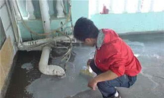 專業(yè)防水補(bǔ)漏與管道疏通服務(wù)——多年經(jīng)驗(yàn)保障施工質(zhì)量